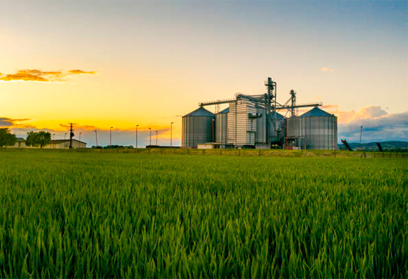 QUIÉNES SOMOS — DISTRIBUIDORA AGROINDUSTRIAL